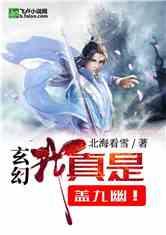 外星球体进黑洞